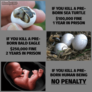 53499983_1365754960229709_818782875863220224_n